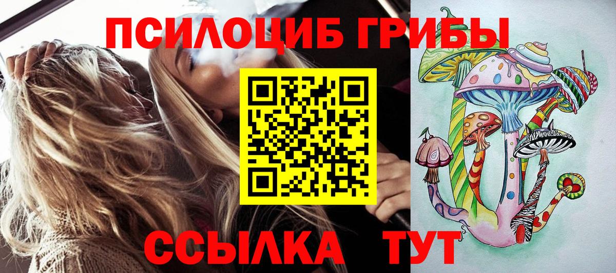 Псилоцибиновые грибы GOLDEN TEACHER  Вход с VPN  Псилоцибиновые грибы Psilocybe  Кстово 